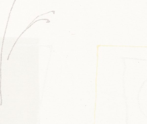 Ρόλερ σκίασης/ft.6117.k/τυπωμένα/μεσαίας διαπερατότητας